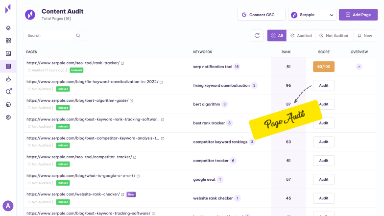 page audit