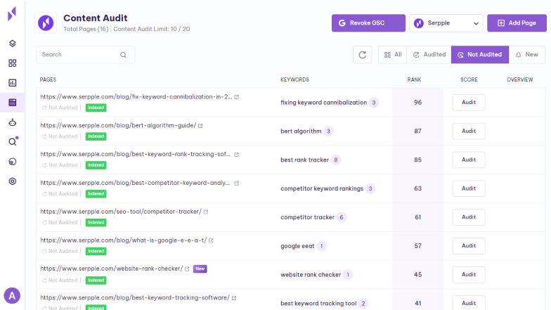 page audit overview